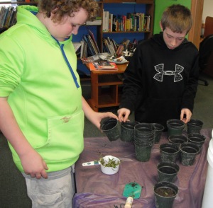 Students with their "rescued" seedlings.